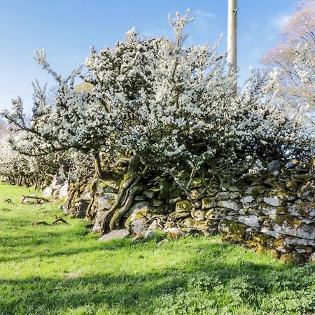 5 Ceirnioge Cottages Betws-y-Coed Bagian luar foto