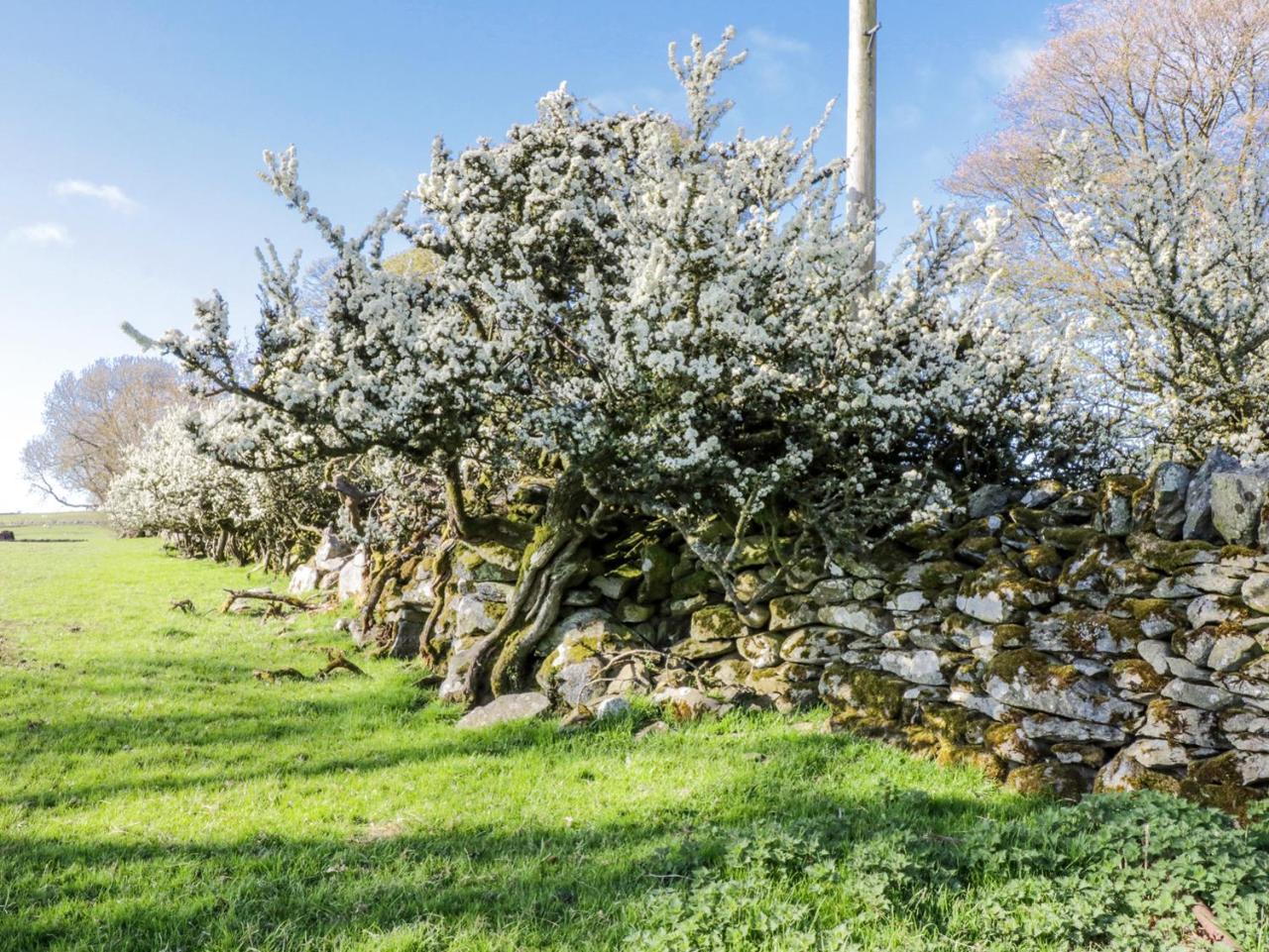 5 Ceirnioge Cottages Betws-y-Coed Bagian luar foto